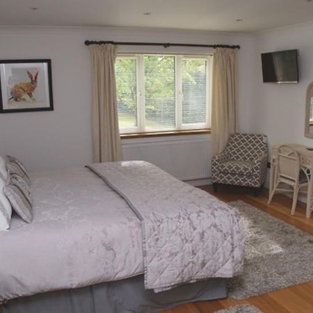 Cherry Tree Guesthouse Bradford-On-Avon Номер фото